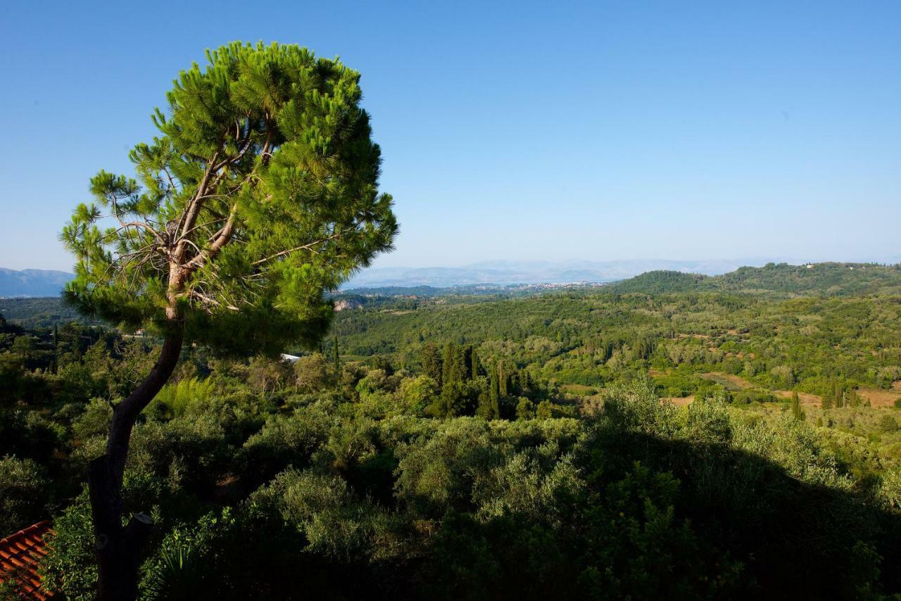 Aurora Apartment Corfu Pelekas Eksteriør billede